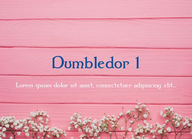Dumbledor 1 example